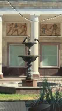 Şehirdeki bir binanın üzerinde yürüyen meraklı bir güvercinin yakın çekimi. Çeşmede kargalar var.