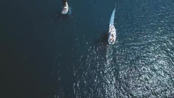 Вид с воздуха на яхтенную регату — стоковое видео