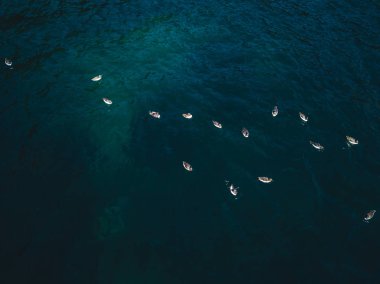 Ördek hava manzaralı