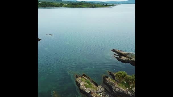 De klippen van het eiland in Ierland, antenne en vliegende meeuwen — Stockvideo