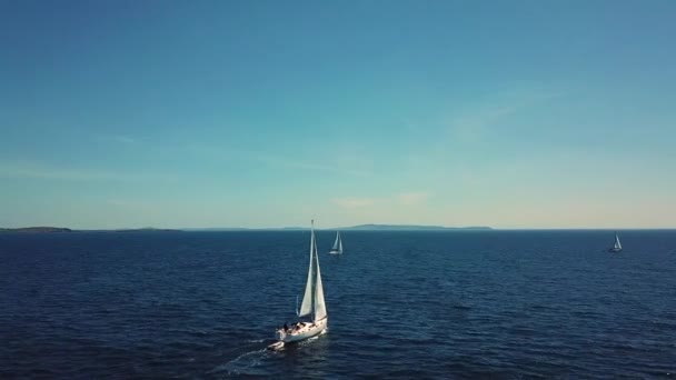 Sailing in the sea — Stock Video