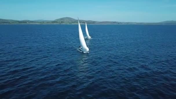 Вітрильний спорт у морі — стокове відео