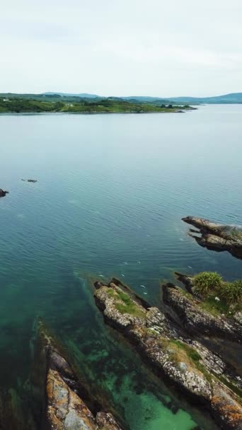 Meeuwen over de stenen eilanden in Ierland, luchtfoto in de zomer — Stockvideo