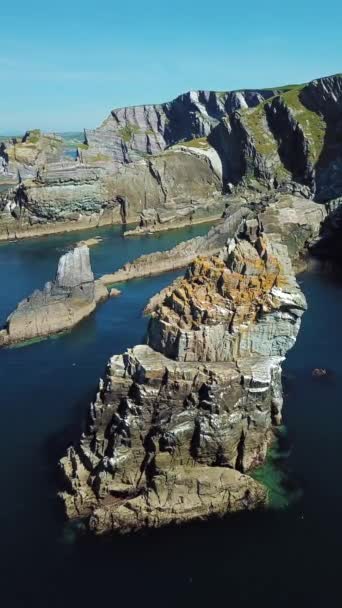 Falésias da ilha na Irlanda, Vista aérea perto de Mizen Head — Vídeo de Stock