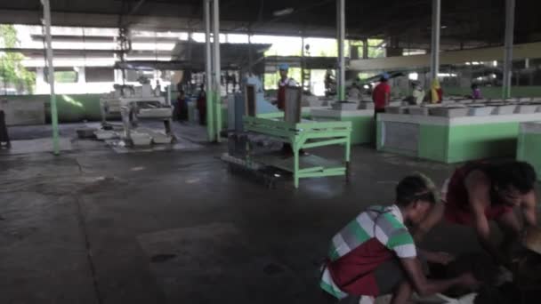 2013 06, Indien, Assam: inuti en te fabrik — Stockvideo