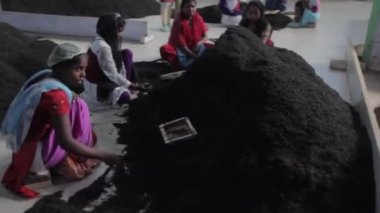 2013 06, Hindistan, Assam: çay çay fabrikası sıralama yuong kızlar