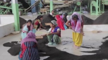2013 06, Hindistan, Assam: çay çay fabrikası sıralama yuong kızlar