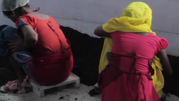 2013 06, India, Assam: chicas yuong clasificando el té en la fábrica de té — Vídeos de Stock