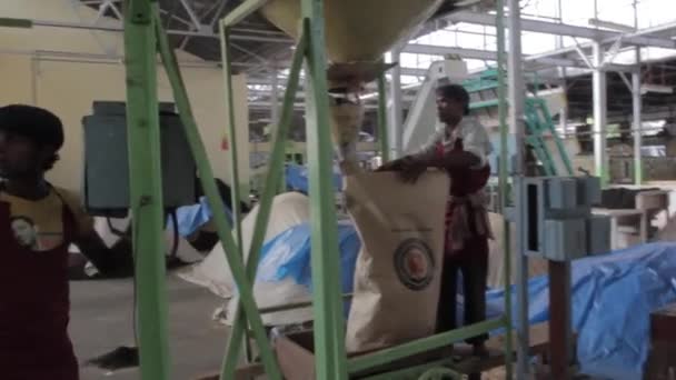 2013 06, Hindistan, Assam: insanlar çay çay fabrikası sıralama — Stok video