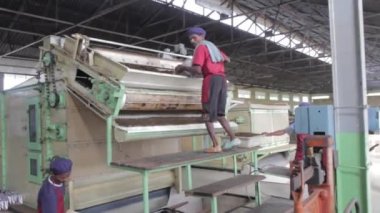 2013 06, Hindistan, Assam: bir çay fabrikası içinde