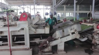 2013 06, Hindistan, Assam: bir çay fabrikası içinde