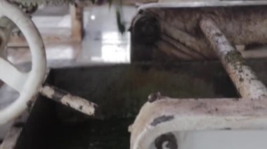 Assam çay fabrikası içinde. Hindistan