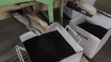 Assam çay fabrikası içinde. Hindistan