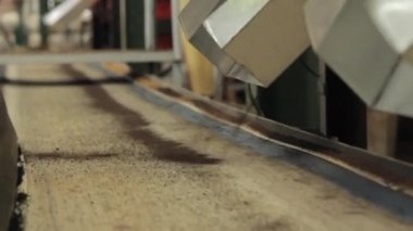 Assam çay fabrikası içinde. Hindistan