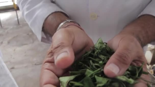 06 2013, Ινδία, Ασσάμ: ο άνθρωπος μιλά για το τσάι και κατέχει φύλλα τσαγιού — Αρχείο Βίντεο