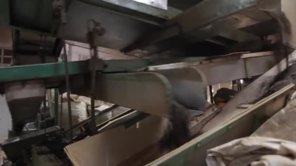 Dentro de una fábrica de té en Assam. India — Vídeo de stock