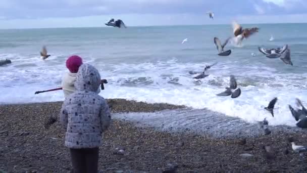 Menschen füttern Tauben am Meeresufer — Stockvideo