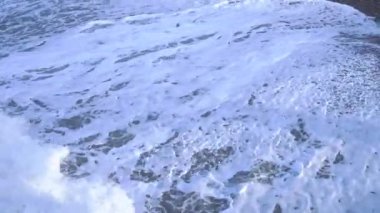 Fırtınalı havalarda martılar