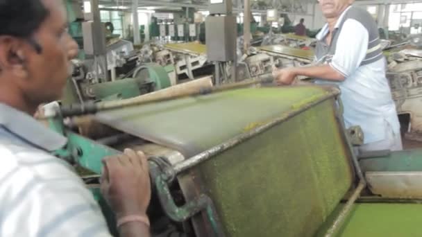 2013-06, Індія, Ассам: люди сортування чай в чайній фабриці — стокове відео