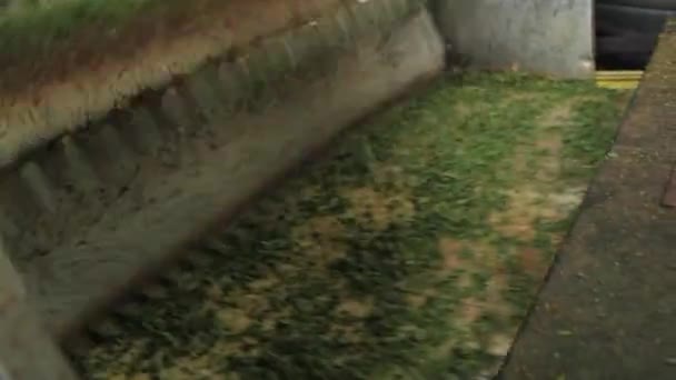 Fábrica de produção de chá preto automatizada na Índia — Vídeo de Stock