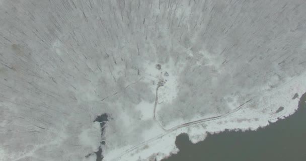 Уральский лес, скала, горы и река. Вид с воздуха — стоковое видео