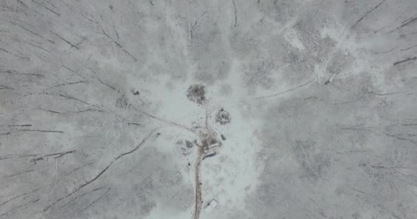 Oeral bos, rock, bergen en rivier. Luchtfoto — Stockvideo