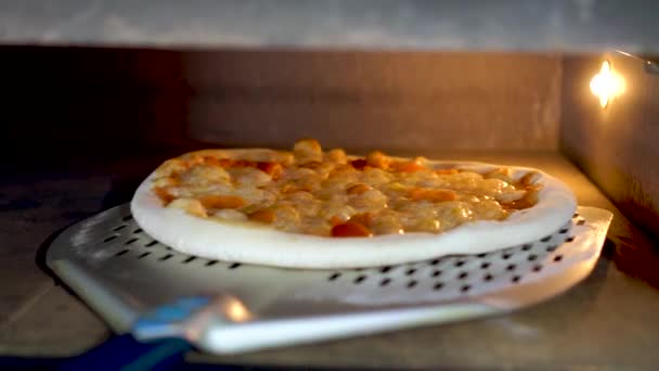 El chef pone pizza en el horno, cámara lenta — Vídeos de Stock