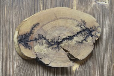 Bir elma ağacı doku yapısı.