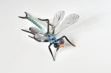 Bir yusufçuk cam rakam.