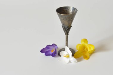 Gümüş shot cam ve Crocus çiçekler.