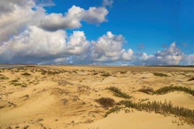 Beautiful desert landscape with blue sky at Cabo de Vela. La Guajira, Colombia. clipart