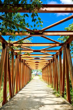 Yellow Metal Köprüsü Venedik, Antioquia, Kolombiya yolunda.