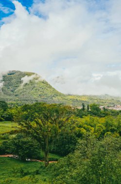 Sabahları sisli panoramik ve doğal manzara. Kolombiya. 