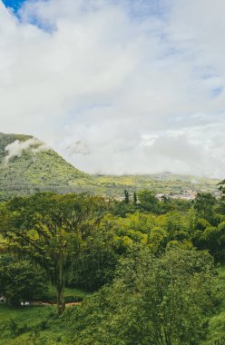 Sabahları sisli panoramik ve doğal manzara. Kolombiya. 