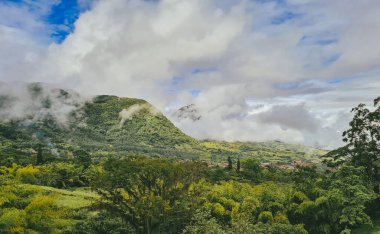 Sabahları sisli panoramik ve doğal manzara. Kolombiya. 