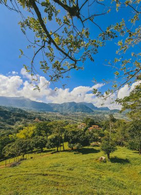 Venedik, Antioquia, Kolombiya 'da mavi gökyüzü ve bir sürü bitki örtüsü olan güzel bir kırsal bölge..