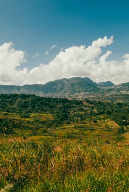 Venedik, Antioquia, Kolombiya 'da mavi gökyüzü ve bir sürü bitki örtüsü olan güzel bir kırsal bölge..