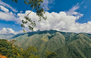 Venedik, Antioquia, Kolombiya 'da mavi gökyüzü ve bir sürü bitki örtüsü olan güzel bir kırsal bölge..