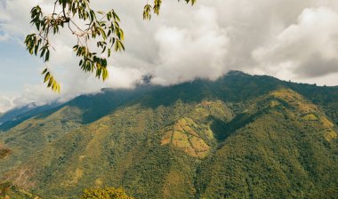Venedik, Antioquia, Kolombiya 'da mavi gökyüzü ve bir sürü bitki örtüsü olan güzel bir kırsal bölge..