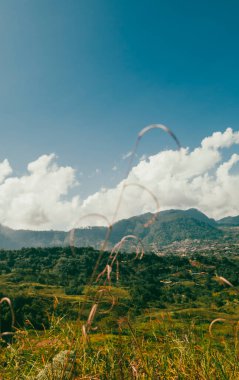 Venedik, Antioquia, Kolombiya 'da mavi gökyüzü ve bir sürü bitki örtüsü olan güzel bir kırsal bölge..