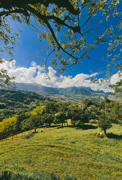 Venedik, Antioquia, Kolombiya 'da mavi gökyüzü ve bir sürü bitki örtüsü olan güzel bir kırsal bölge..