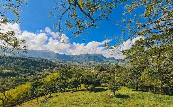 Venedik, Antioquia, Kolombiya 'da mavi gökyüzü ve bir sürü bitki örtüsü olan güzel bir kırsal bölge..