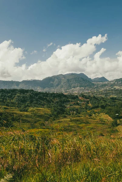Venedik, Antioquia, Kolombiya 'da mavi gökyüzü ve bir sürü bitki örtüsü olan güzel bir kırsal bölge..