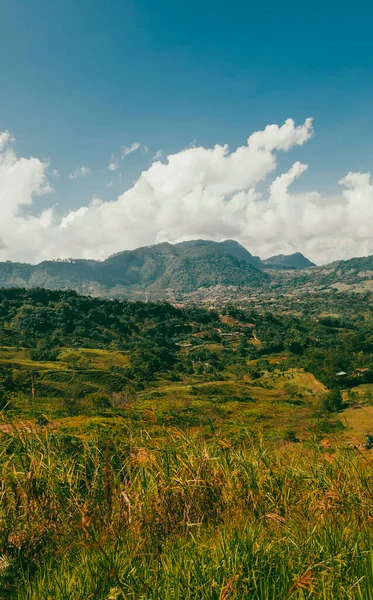 Venedik, Antioquia, Kolombiya 'da mavi gökyüzü ve bir sürü bitki örtüsü olan güzel bir kırsal bölge..