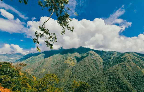 Venedik, Antioquia, Kolombiya 'da mavi gökyüzü ve bir sürü bitki örtüsü olan güzel bir kırsal bölge..