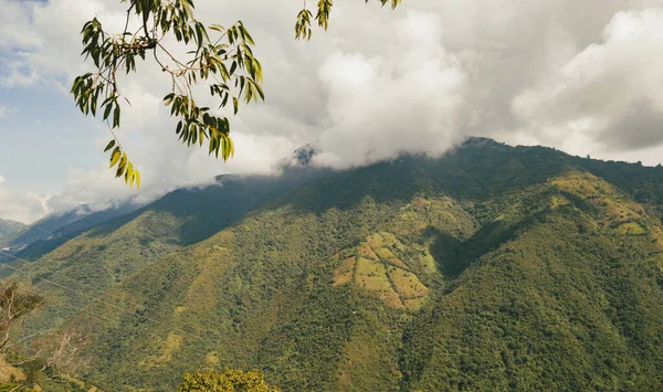 Venedik, Antioquia, Kolombiya 'da mavi gökyüzü ve bir sürü bitki örtüsü olan güzel bir kırsal bölge..