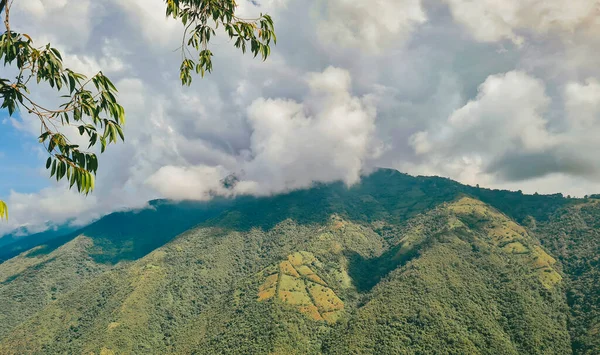 Venedik, Antioquia, Kolombiya 'da mavi gökyüzü ve bir sürü bitki örtüsü olan güzel bir kırsal bölge..