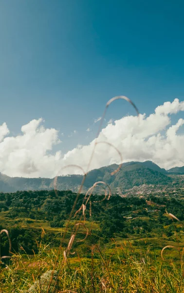 Venedik, Antioquia, Kolombiya 'da mavi gökyüzü ve bir sürü bitki örtüsü olan güzel bir kırsal bölge..