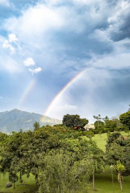 Venedik, Antioquia, Kolombiya 'da yolu ve gökkuşağı olan kırsal alan.