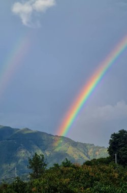 Venedik, Antioquia, Kolombiya 'da yolu ve gökkuşağı olan kırsal alan.